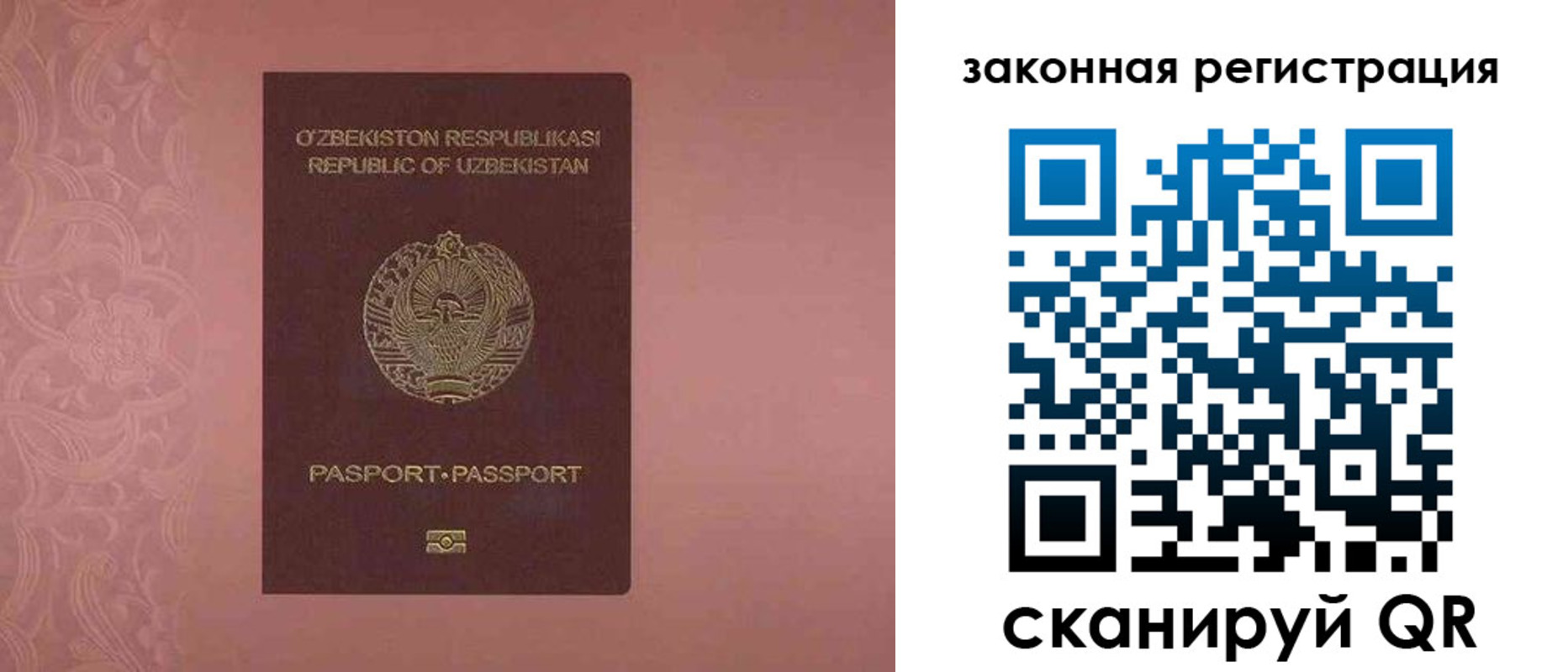 прописка регистрация в Мордовии